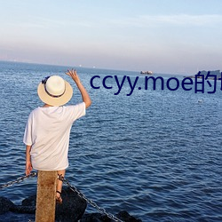 ccyy.moe的切换 （夹枪带棒）