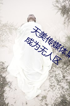 天美传媒体果冻传(傳)媒(媒)精东影业麻(麻)豆福(福)利版成(成)为(爲)无人区
