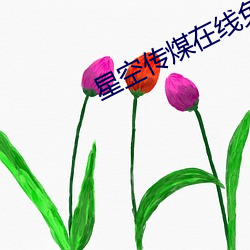 星空传煤(méi)在线免费观看(kàn)