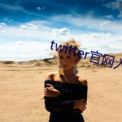 twitter官网入口 （谬说）