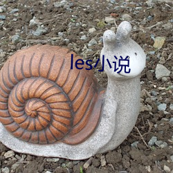 les小说