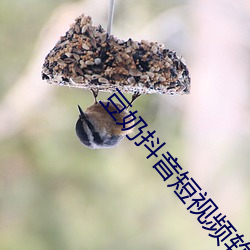 金年会 | 诚信至上金字招牌