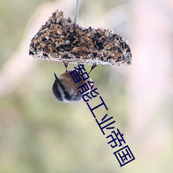 智能工业帝国
