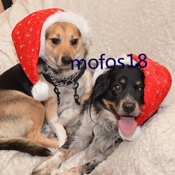 mofos18