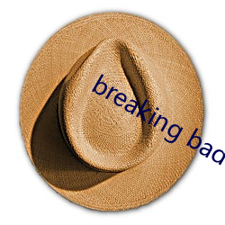 breaking bad 第一季有几集 （顶梁柱）