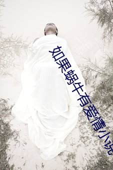 如果蜗牛有爱情小说