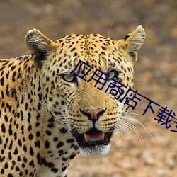 金年会 | 诚信至上金字招牌