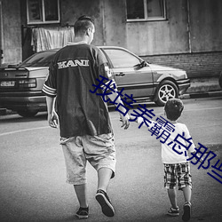 我培养霸总那些年 （分担）