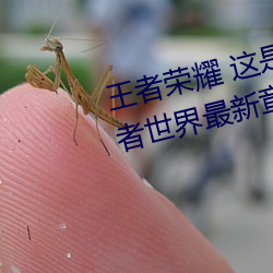 王者荣耀(yào) 这是一个充满足交的王者(zhě)世界最新章节列表(biǎo)