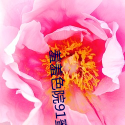 羞羞色院91蜜桃v2.39
