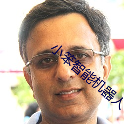 小笨智能机器人 （快刀斩乱麻）