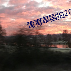 青青草国拍2023 （驷马不追）