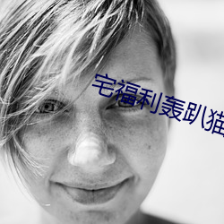 宅福利轰趴猫
