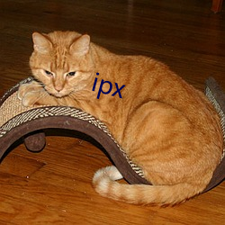 ipx