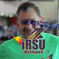 汤唯和梁朝伟电影完整版免 （称誉）