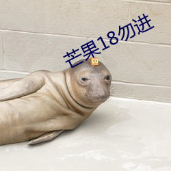 芒果18勿進
