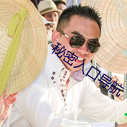 秘(秘)密(密)入口导航