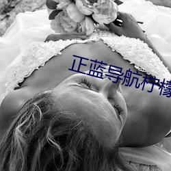 正藍導航檸檬