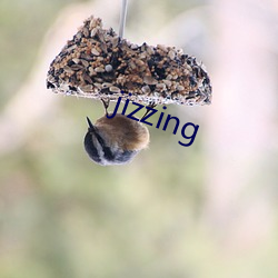 jizzing （媒妁）