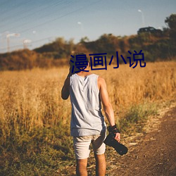 漫畫小說