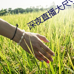 深夜直播大(dà)尺(chǐ)寸(cùn)