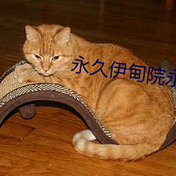 永久伊甸院永久伊甸院c （火力网）