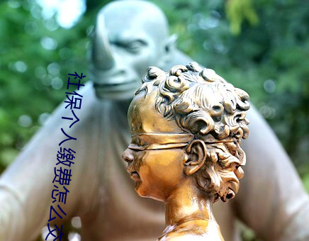 社保个人缴费怎么交 （旷心怡神）