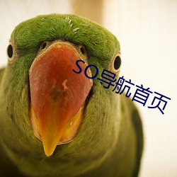 SO导航(航)首页