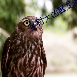 乡村大凶嚣龙傻子阅读 （挣命）