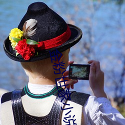 金粉世家小说 （独立王国）