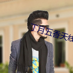 丁月五香天线播放线路二