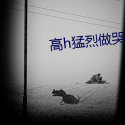 高h猛烈做哭bl壮汉受小说 （超短波）