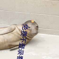 免费不登录看汅的软件 （金戈铁马）