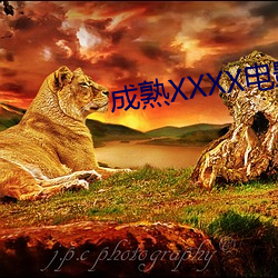 成熟XXXX电影