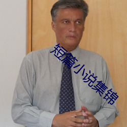 短(短)篇小(小)说集锦