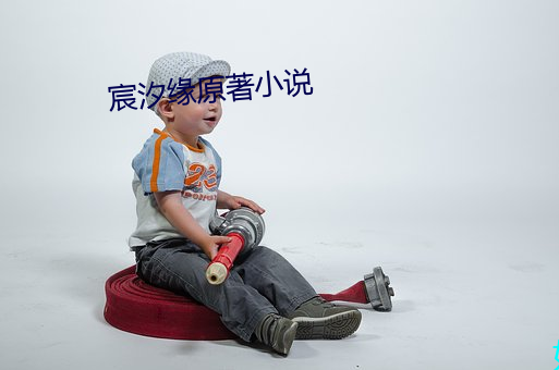 宸(chén)汐缘原著小(xiǎo)说