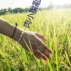 肉小說亂倫寶(bǎo)貝(bèi)