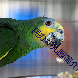 民办幼儿(ér)园简(jiǎn)介(jiè)内容(róng)