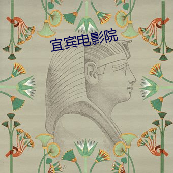 宜宾(賓)电影(影)院