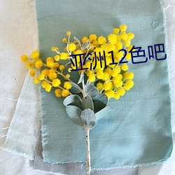 亚洲12色吧 （翻云覆雨）