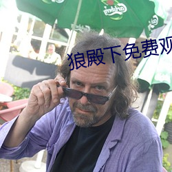 狼殿下免費觀看全集完整版