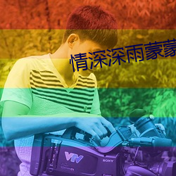 情深深雨蒙蒙49全集完整版