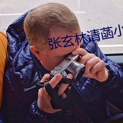 张玄林清菡小说全部章节免费阅读