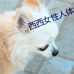 西西女性人体大胆摄影