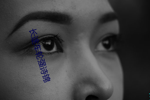 长途车(chē)轮强诗锦