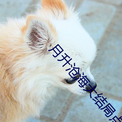 月升沧海大结局点映礼免费