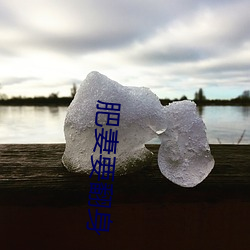 肥妻要翻身