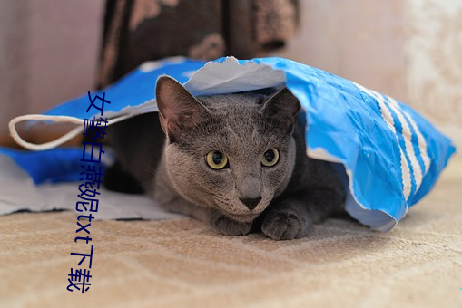 女警白燕妮txt下载
