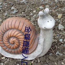 金蝶直播入口