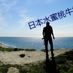 日本水蜜桃牛奶身体乳正品